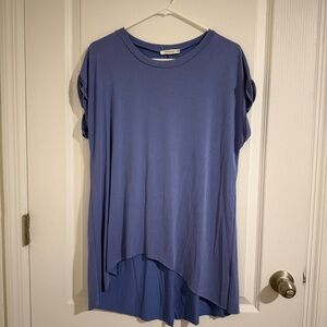 Chic Blue Tunic Top